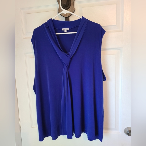 (1196) Dante Malan Woman's Sleeveless Blouse, Size: 3X Color: Blue - Picture 4 of 10